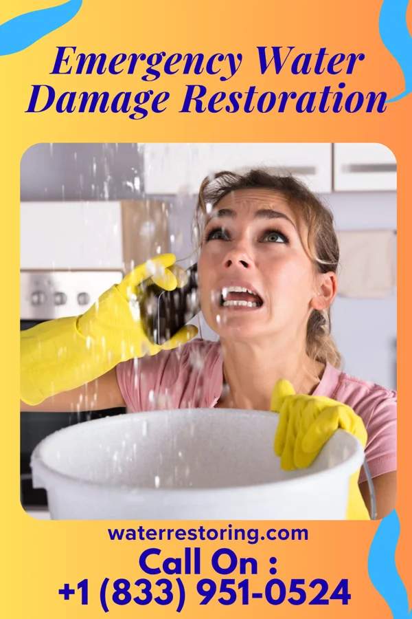 Emergency Water Damage Restoration in Elmo, UT