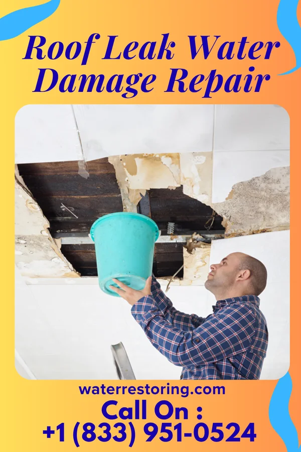 Roof Leak Water Damage Repair in Elmo, UT