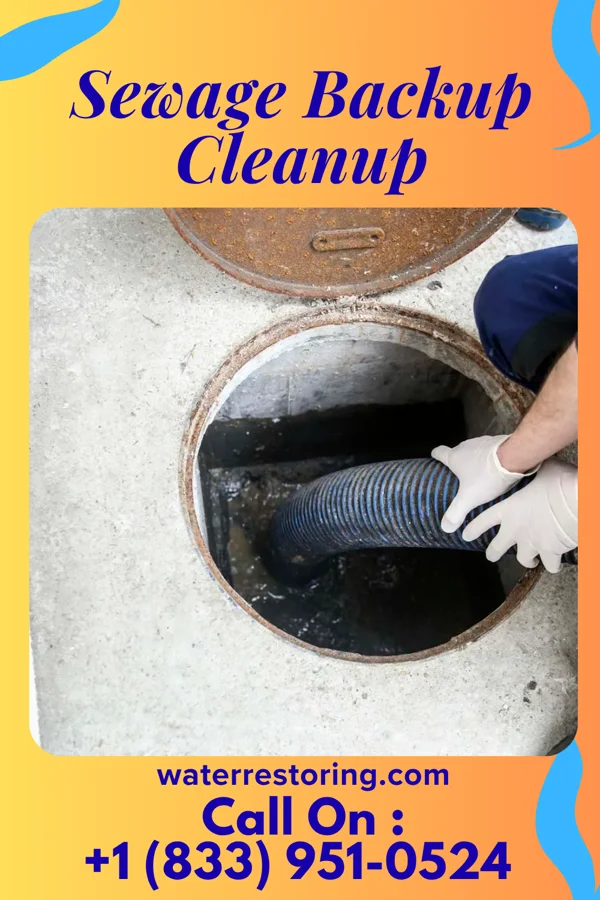 Sewage Backup Cleanup in Elmo, UT
